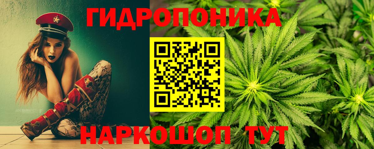 Каннабис гибрид Белгород